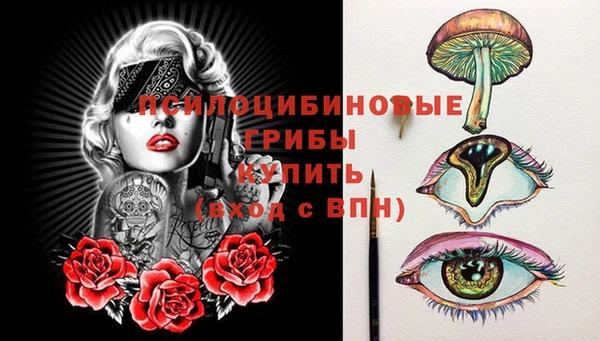 прущий лед Михайловка
