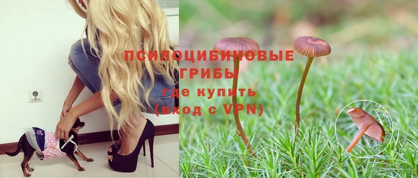 молекула духа Семёнов