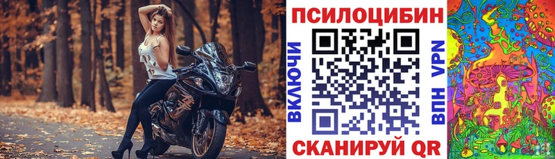 наркота  Каргат  darknet наркотические препараты  Псилоцибиновые грибы ЛСД  гидра зеркало 